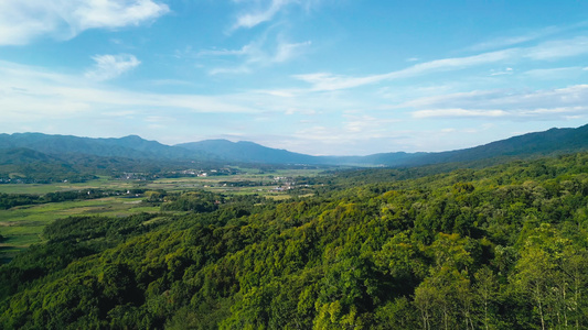 青山视频