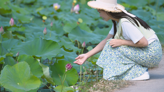 4K荷花与少女视频