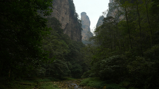 航拍湖南5A级旅游景区张家界金鞭溪风光4k素材[钢鞭]视频