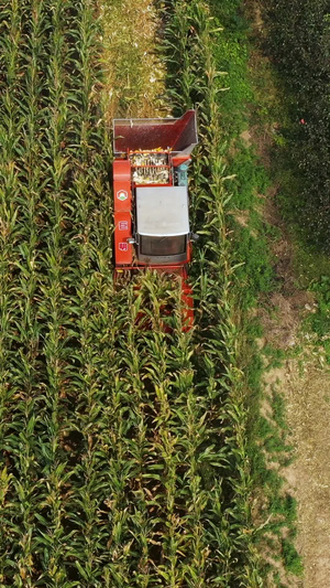 农业机械化收割机航拍素材肥沃的田地46秒视频