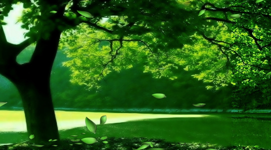 绿色森林系大树背景视频视频