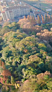 航拍贵阳花溪国家城市湿地公园生态公园视频