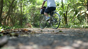 骑着自行车在红绿林中34秒视频