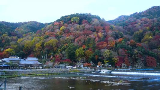 日本岚山（有BGM）视频