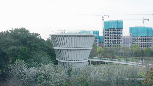 春天的城市花园[中小城市]视频