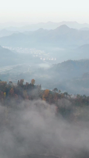 航拍安徽黄山山脉山区晨雾视频5A景区79秒视频