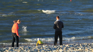 在石子海滩上有3个家族29秒视频