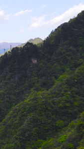 5A风景区神农架原始森林航拍延时合集视频