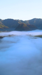 湖北5A景区神农架大九湖清晨晨雾航拍环绕森林湿地视频