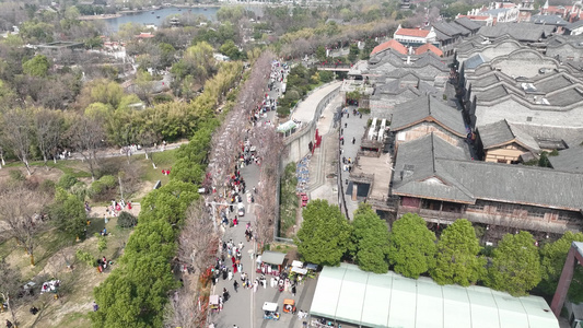 武汉第四届汉口里花朝节园博园里的游人视频