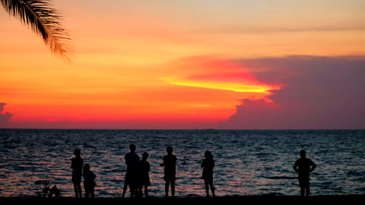 在海滩海和天上的日落云中1家人和人视频