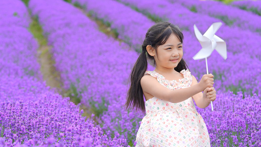 女孩拿着纸风车在薰衣草花田里升格50p视频