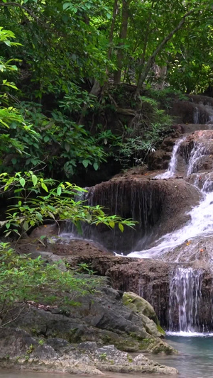 热带雨林森林里的瀑布实拍含声音40秒视频