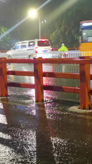 实拍夏季雨中即景梅雨季26秒视频