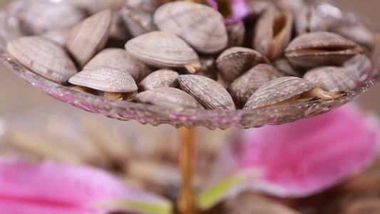 各种小海鲜花蛤蛏子蛤蜊视频