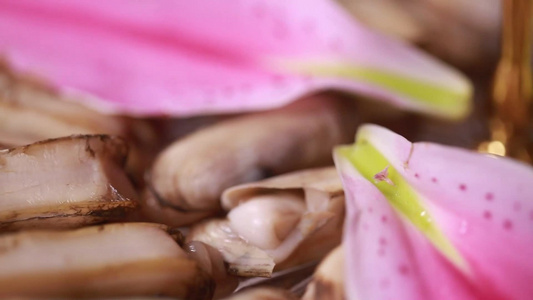 各种小海鲜花蛤蛏子蛤蜊视频