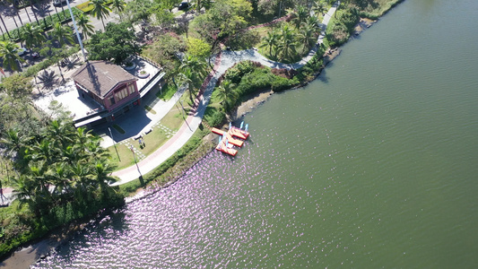 航拍海南海口红城湖公园湿地美景视频