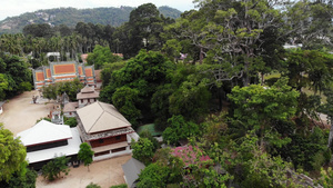 泰国森林之间的经典佛教寺庙23秒视频