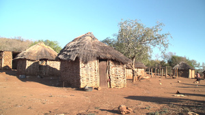 非洲村传统草原小棚非洲村8秒视频