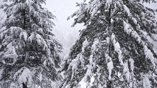 名为老马纳利的印度小村庄在冬天下雪时看起来很美视频