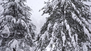 老马纳利的印度小村庄在冬天下雪时看起来很美11秒视频