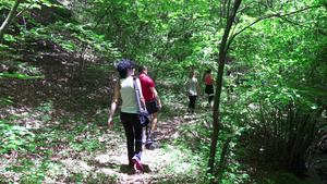 一群朋友徒步旅行一起走在森林道路上14秒视频