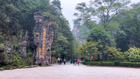 湖南5A级旅游景区张家界国家森林公园4k素材视频