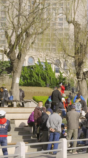 公园湖边一群老年人聚集下象棋31秒视频