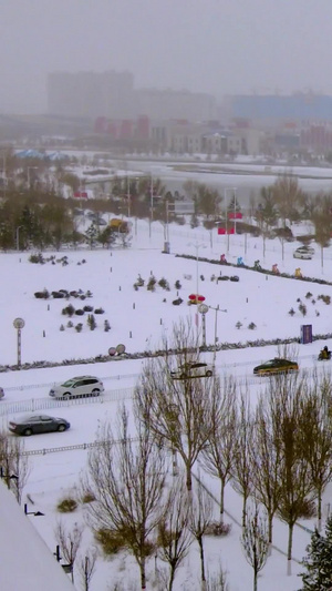 实拍降雪中的北方城市及缓慢行驶的车流65秒视频