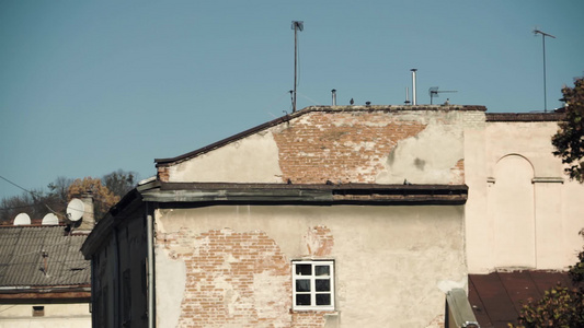 屋顶窗户上打开的旧欧洲砖房鸽子视频