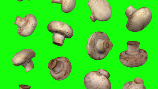 绿色背景的白蘑菇翻滚01a视频