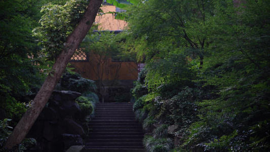 杭州永福寺视频