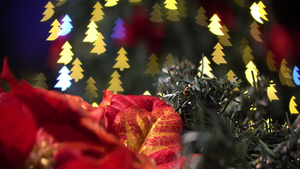 圣诞节装饰花朵带着光亮离开11秒视频