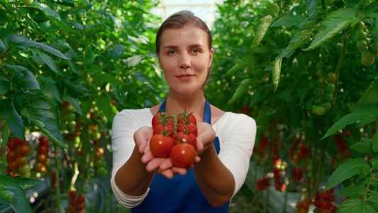 在农村农田肖像中展示蔬菜的女种植园工人视频