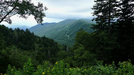 夏季的潮湿山地风景视频