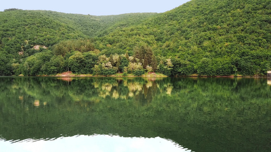 瑞士的森林和绿松石湖森林和水面上的倒影夏日美丽的风景视频