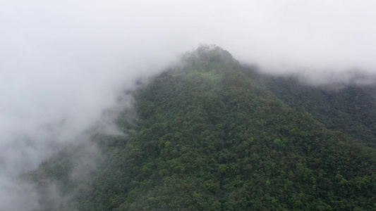 多雨的云层覆盖了绿色森林视频