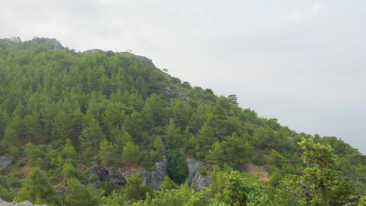 高山上横穿烟雾森林的山丘视频