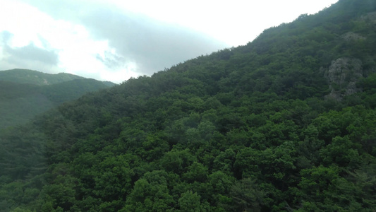 令人惊叹的绿色绿林和山峰空中景象视频