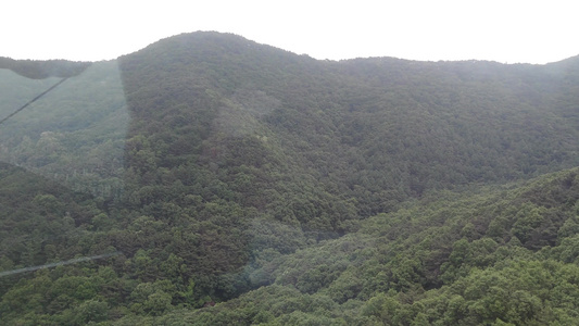 令人惊叹的绿色绿林和山峰空中景象视频