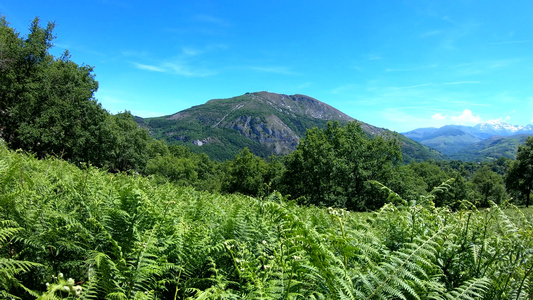 夏季大片山区地貌与浅滩的青春比利牛斯弗朗特视频