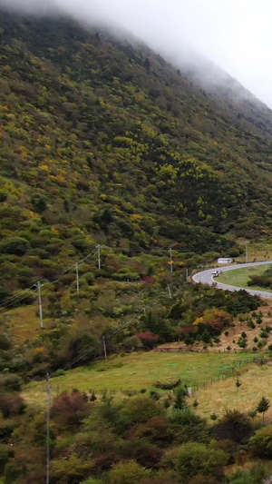 峡谷蜿蜒河流彩林公路航拍视频大自然55秒视频