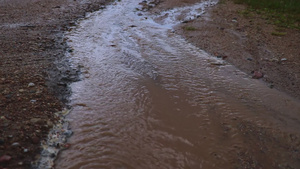 雨后有黄色水流的小溪流25秒视频