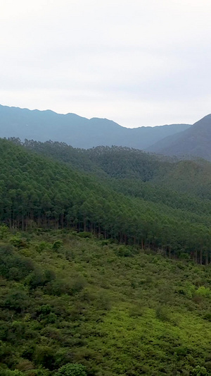 莞惠高速莲花山隧道航拍交通运输28秒视频