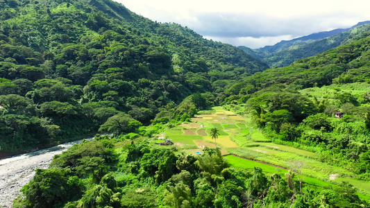 山地和美丽的山谷有稻田的河边水稻梯田笑声视频