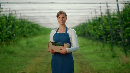 在水果种植园拿着樱桃盒的白人女农民视频