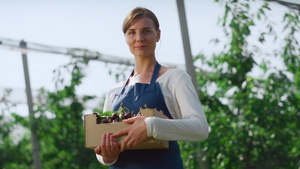 女农艺师在阳光明媚的现代农业种植园拿着浆果盒15秒视频
