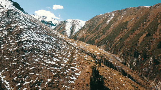 秋天在山上黄草绿纤维视频