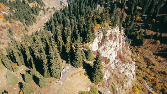 秋天在山上黄草绿纤维视频