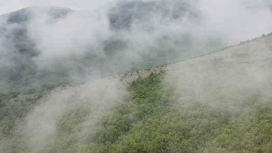 山中的黎明雾视频